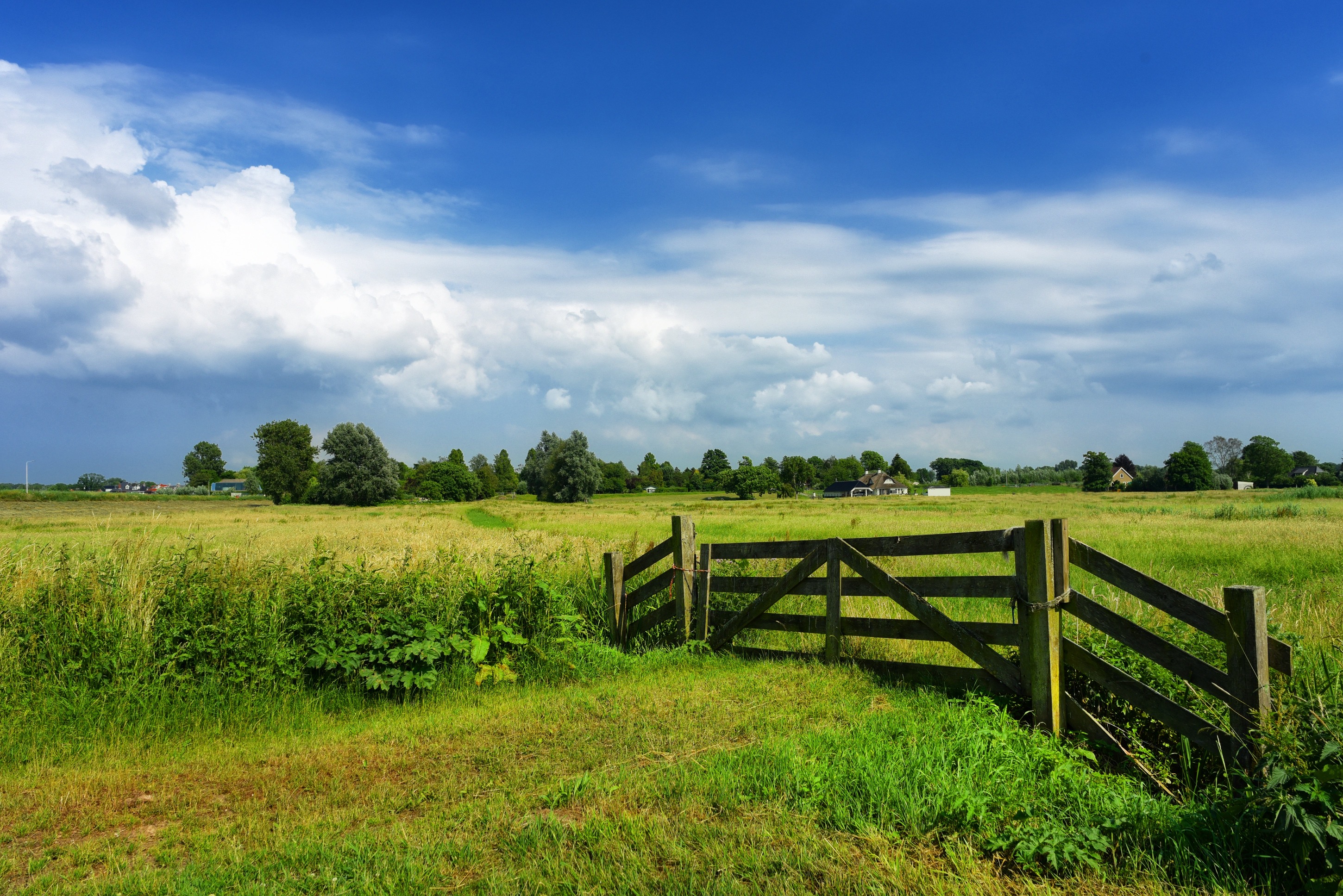 landschap